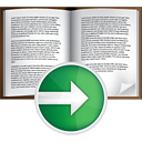 Flip-book